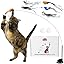 Whiskertons Interactive Bird Cat Toy – Suction Base with 5 Feather Bird Refills & Bells