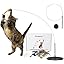 Whiskertons Interactive Bird Cat Toy – Suction Base with 5 Feather Bird Refills & Bells