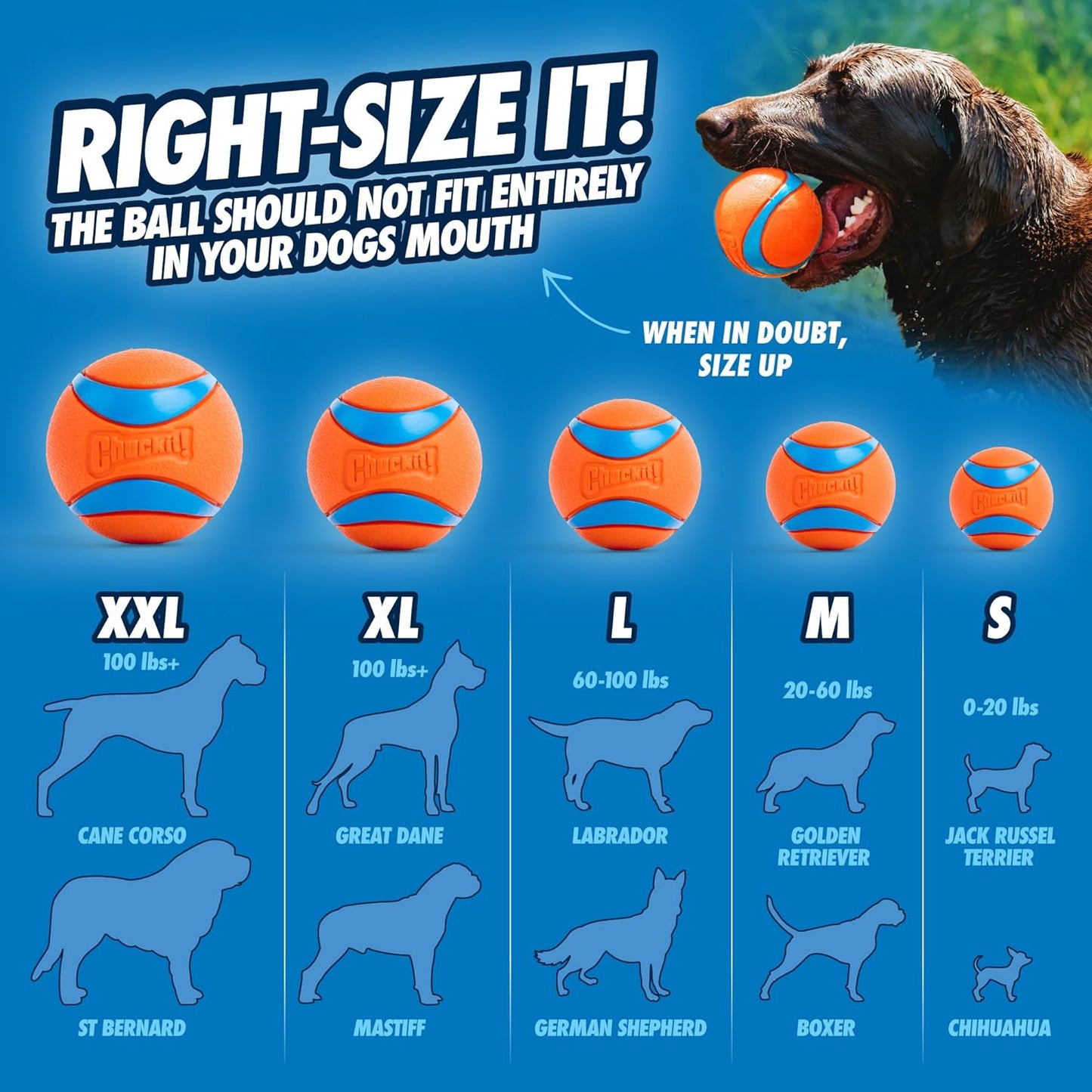 Ultra Bounce Fetch Balls β 2-Pack Medium Floating Dog Toys (2.5") for Active Dogs 20β60 lbs