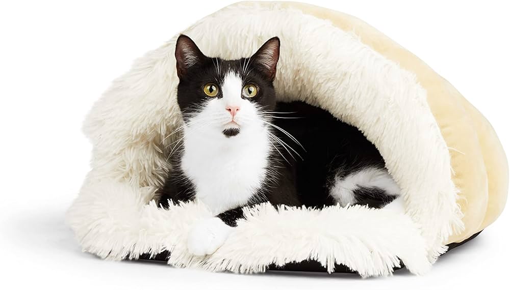 EveryYay Soothing Play Cave Cat Bed, 20" L X 17" W X 12" H, Tan