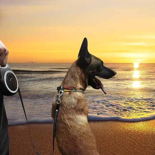 26Ft Heavy Duty Retractable Dog Leash – Tangle-Free, One-Hand Brake, for Dogs up to 110 lbs (Large)