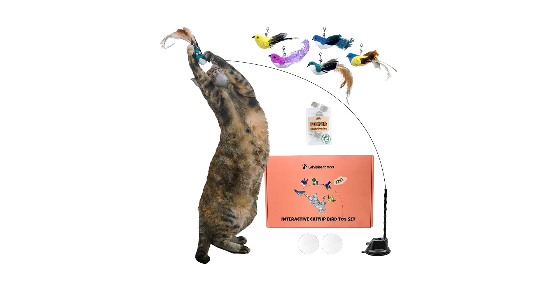 Whiskertons Interactive Bird Cat Toy – Suction Base with 5 Feather Bird Refills & Bells