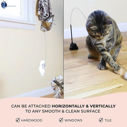Whiskertons Interactive Bird Cat Toy – Suction Base with 5 Feather Bird Refills & Bells