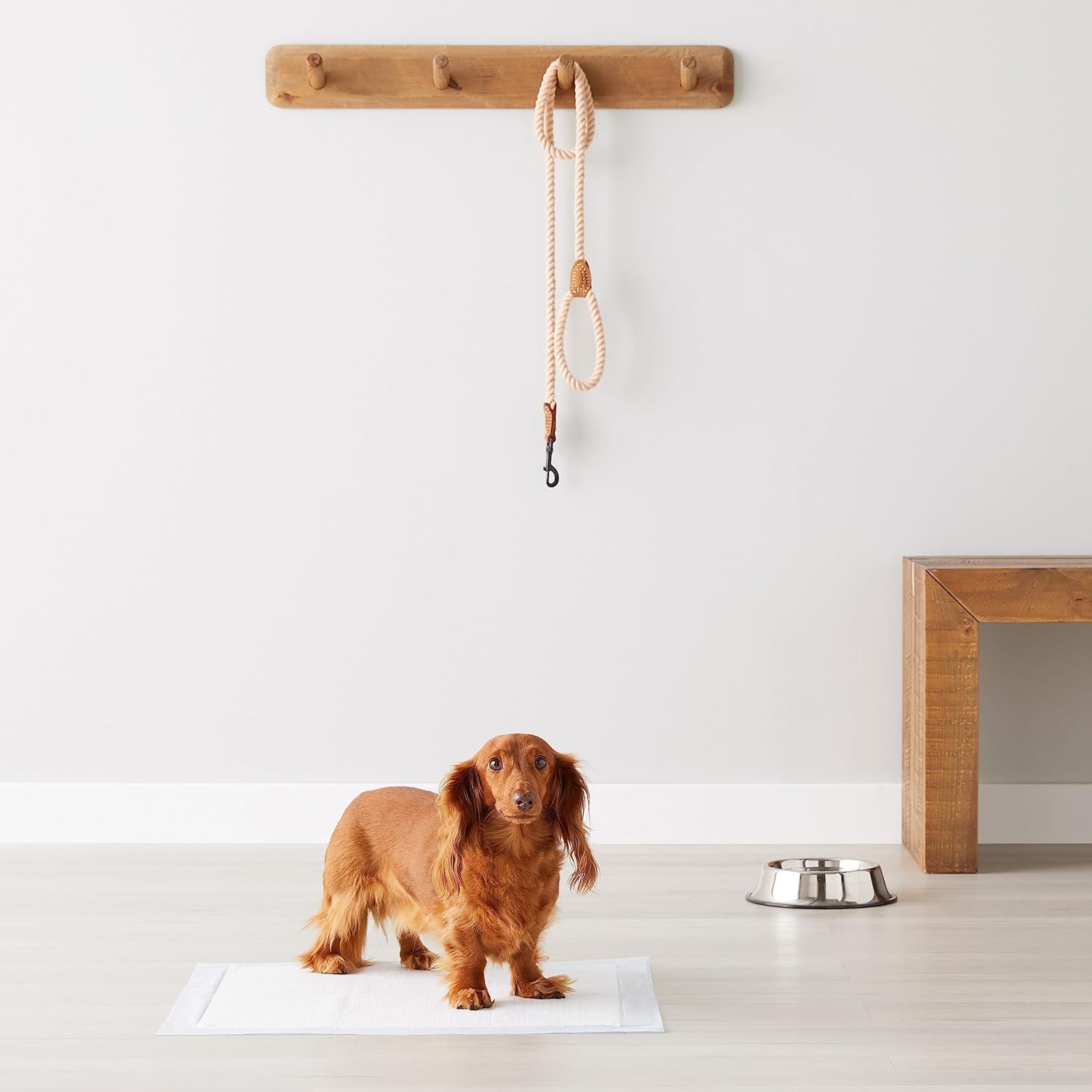 Best Dog and Puppy Pee Pads – Leak-Proof, Quick-Dry Potty Training Pads (100 Pack, 22x22 Inches)