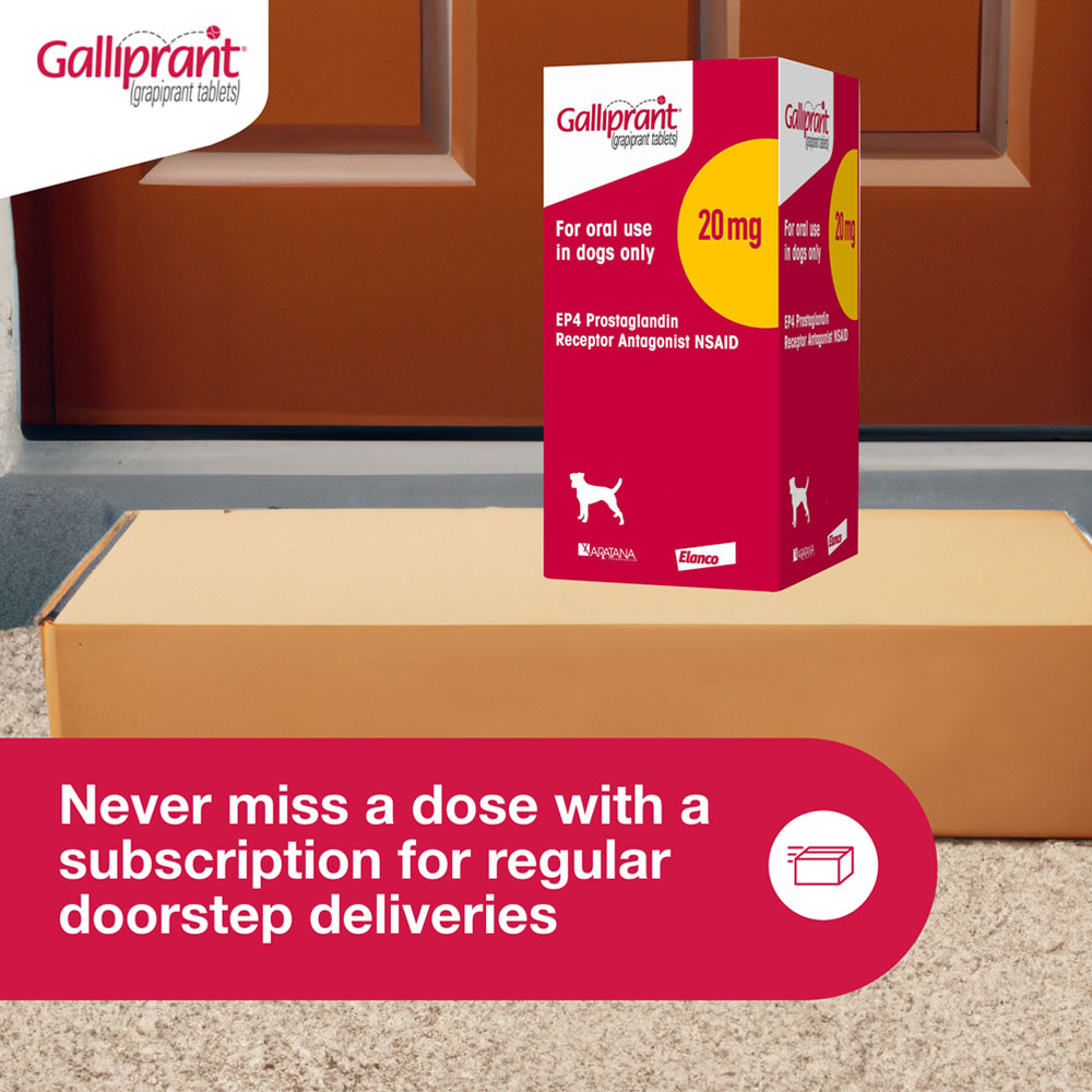 Galliprant 100 mg for Dogs, 30 Tablets