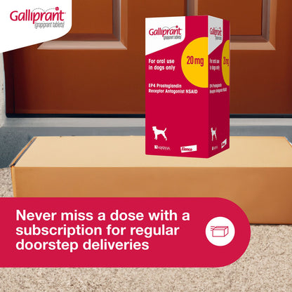 Galliprant 100 mg for Dogs, 30 Tablets